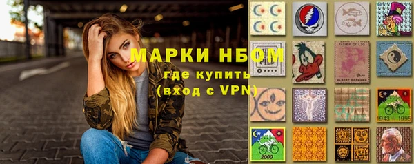 стаф Алексин