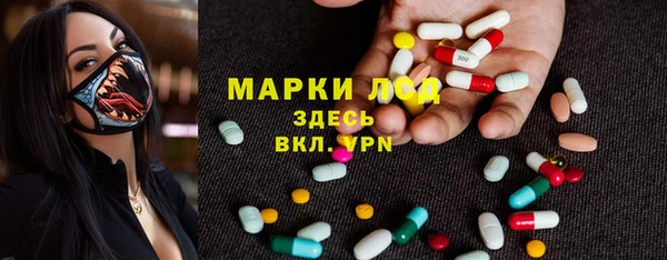 стаф Алексин