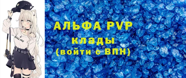 стаф Алексин